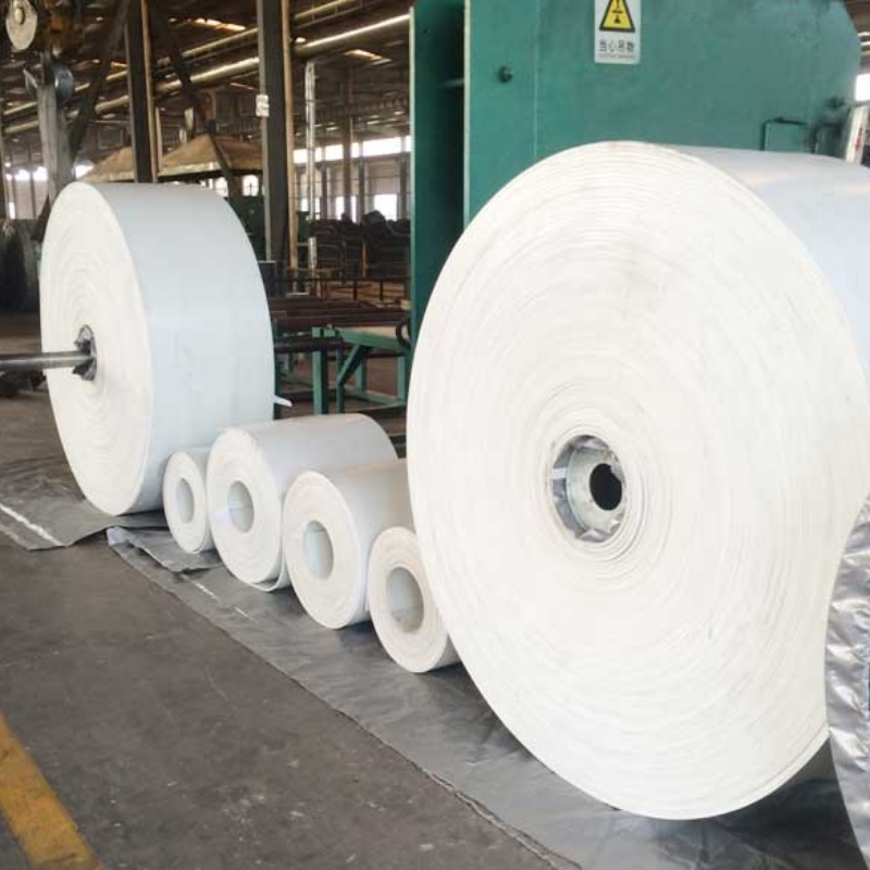 White Color Conveyor Belt